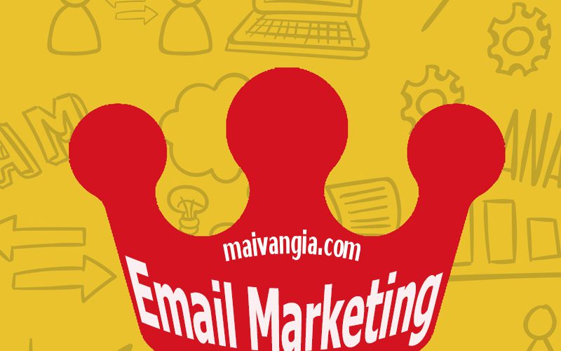 Email marketing la vua